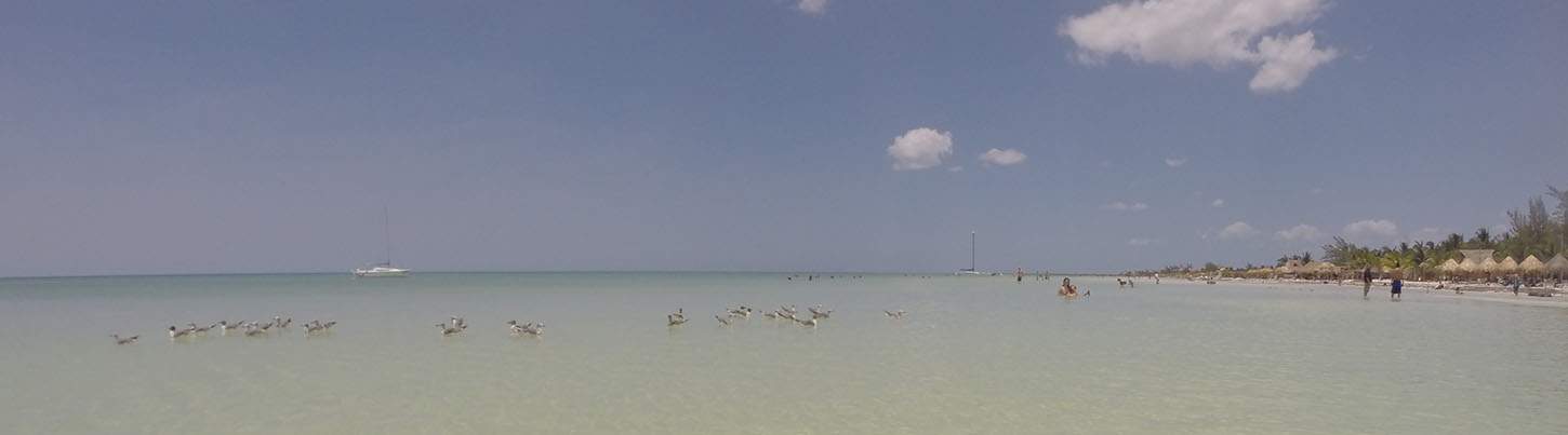 Isla Holbox Mexico Discovery 8