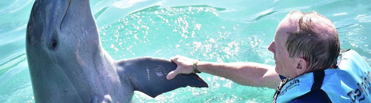 Isla Mujeres Dolphin Encounter 5