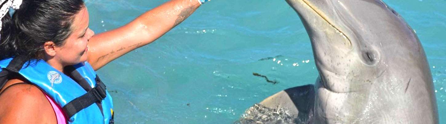 Isla Mujeres Dolphin Swim Adventure 1