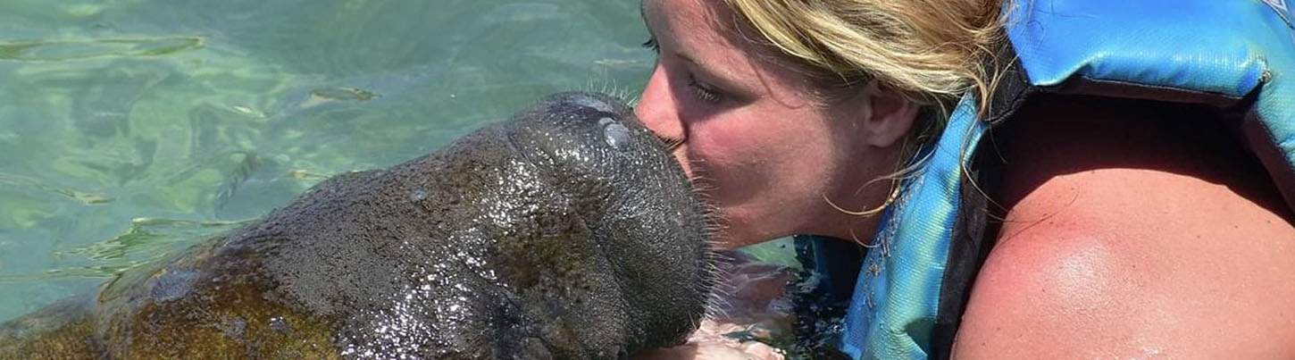 Isla Mujeres Dolphin Swim + Manatees & Sea Lion Combo 3