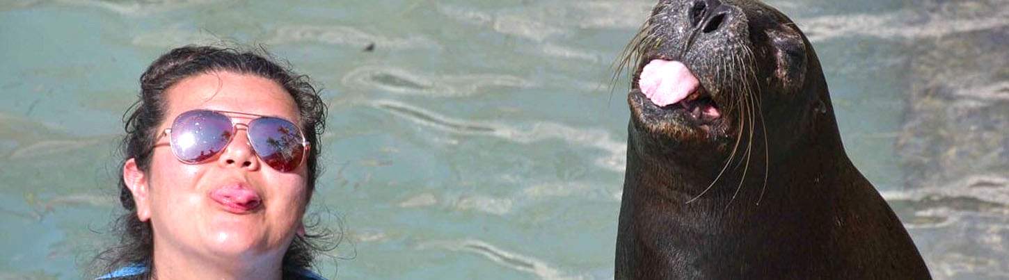 Isla Mujeres Dolphin Swim + Manatees & Sea Lion Combo 4