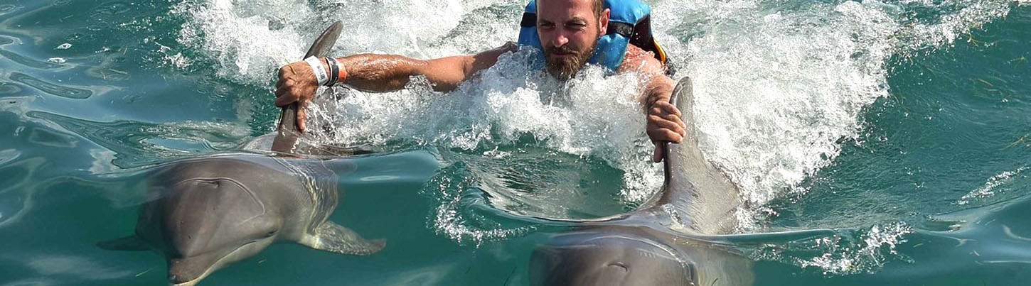 Isla Mujeres Dolphin Swim + Manatees & Sea Lion Combo 5