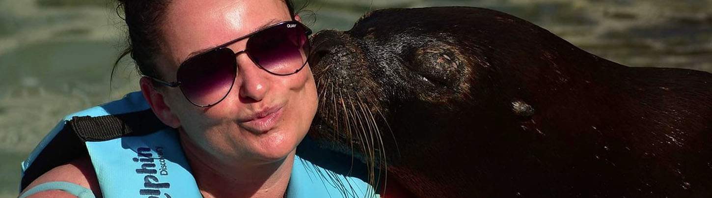 Isla Mujeres Dolphin Swim + Manatees & Sea Lion Combo 6