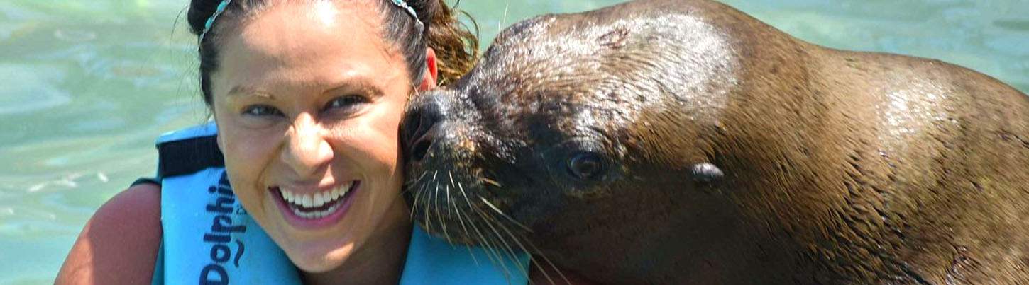 Isla Mujeres Dolphin Swim + Manatees & Sea Lion Combo 8