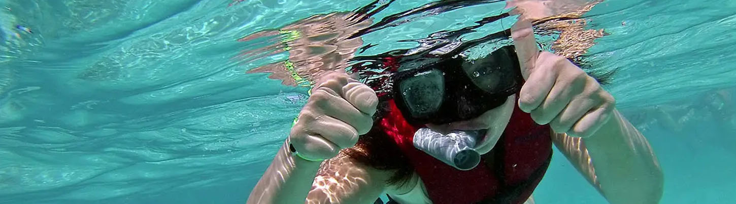 Fun Day in Mexico's Caribbean: Island Hopping Isla Contoy & Isla Mujeres 4