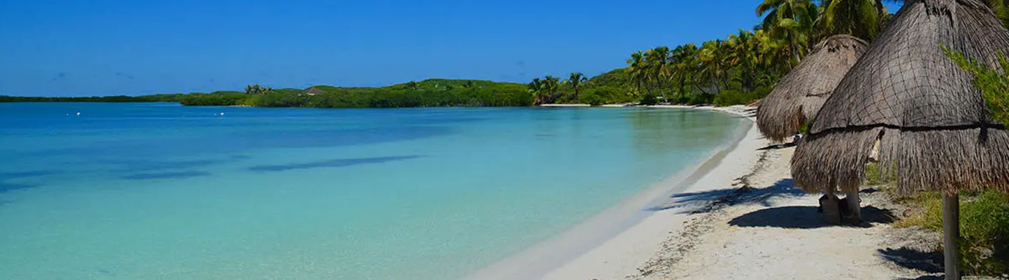 Fun Day in Mexico's Caribbean: Island Hopping Isla Contoy & Isla Mujeres 5