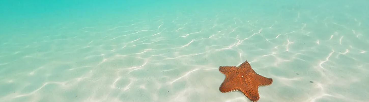 Fun Day in Mexico's Caribbean: Island Hopping Isla Contoy & Isla Mujeres 6