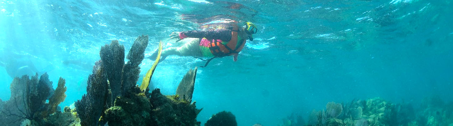 Mayan Jungle ATV Explorer 2