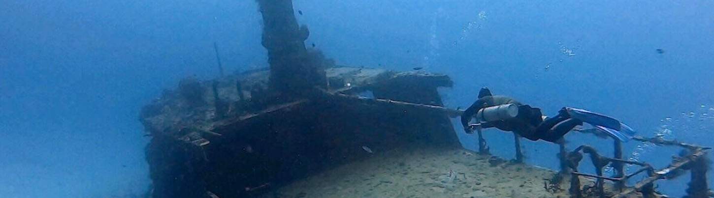 Playa Del Carmen Reef Dive (2 Tanks) 8