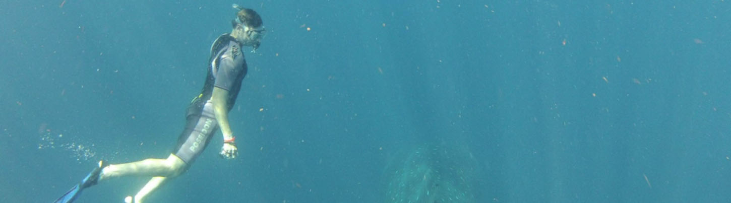 Playa Del Carmen Reef Snorkel (Moche Express) 4