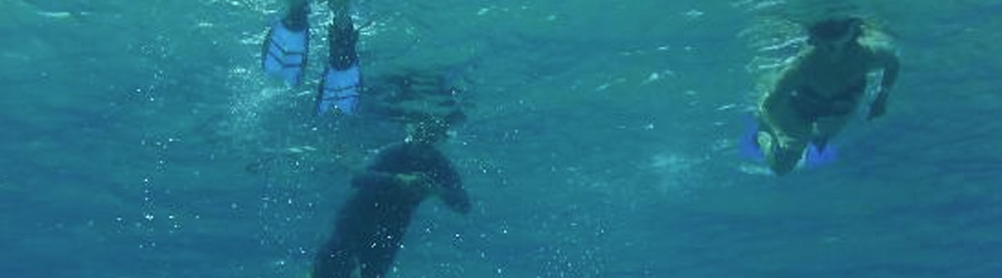 Playa Del Carmen Reef Snorkel (Moche Express) 5