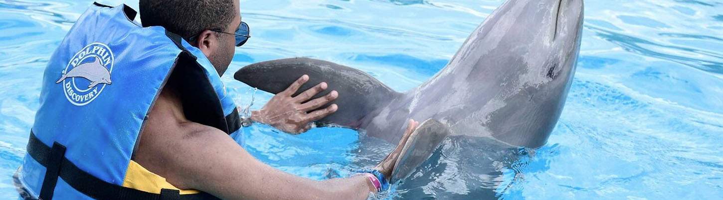 Playa Maroma Dolphin Encounter 4