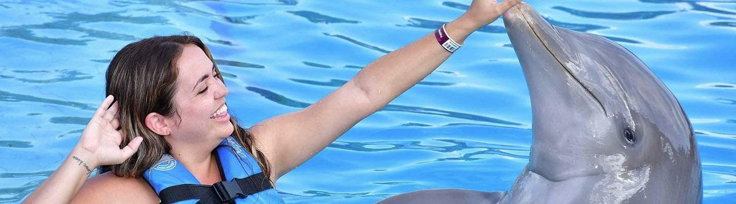 Playa Maroma Dolphin Encounter 5