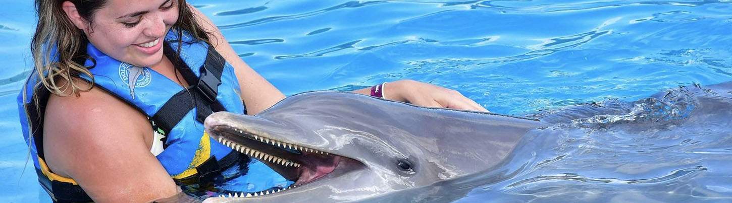 Playa Maroma Dolphin Encounter 6