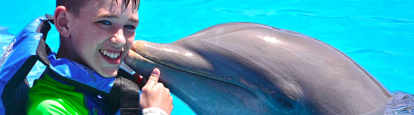 Playa Maroma Dolphin Encounter 8