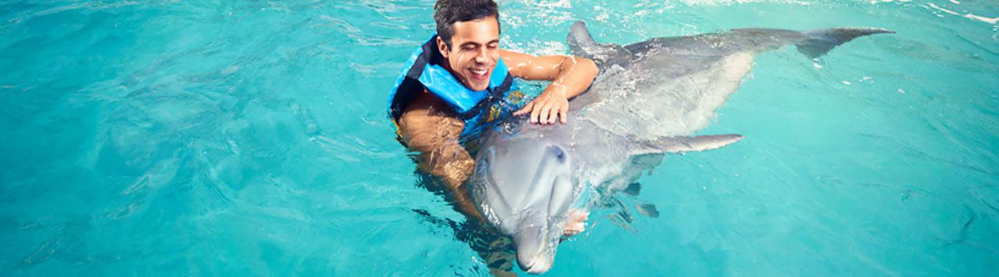 Puerto Aventuras Dolphin Encounter 3