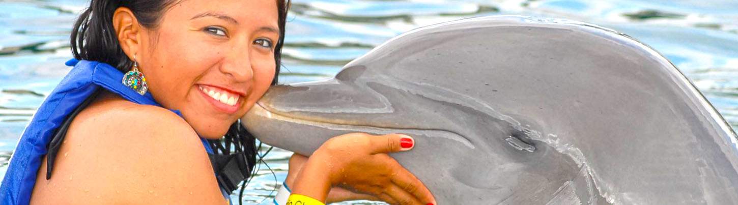 Puerto Aventuras Dolphin Encounter 5