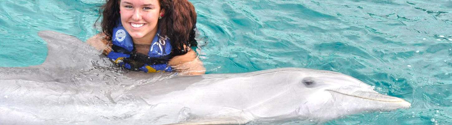 Puerto Aventuras Dolphin Encounter 6