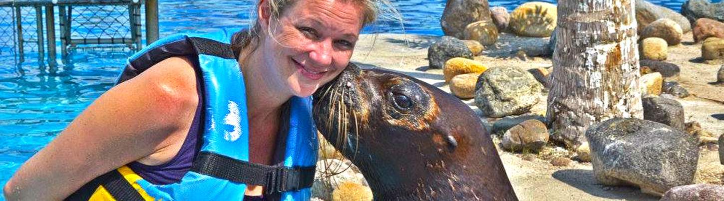 Puerto Aventuras Dolphin Swim + Manatee & Sea Lion Combo 2