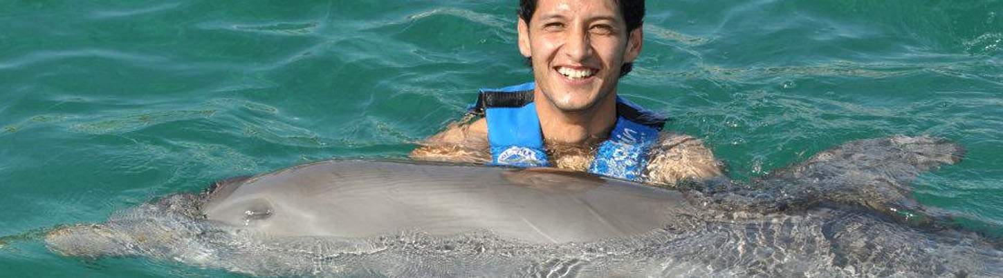 Puerto Aventuras Dolphin Swim + Manatee & Sea Lion Combo 4