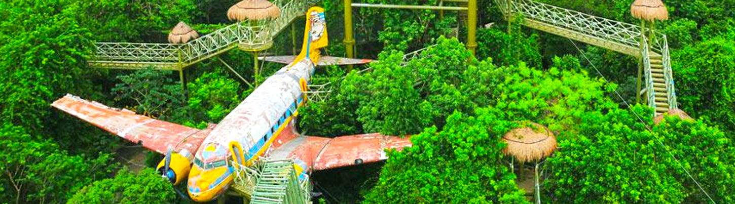 Super Jungle Extreme Combo 2