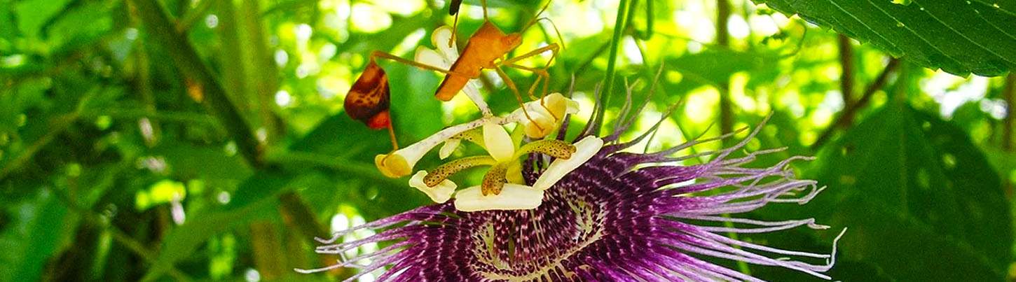 Sian Ka'an Muyil Experience 7