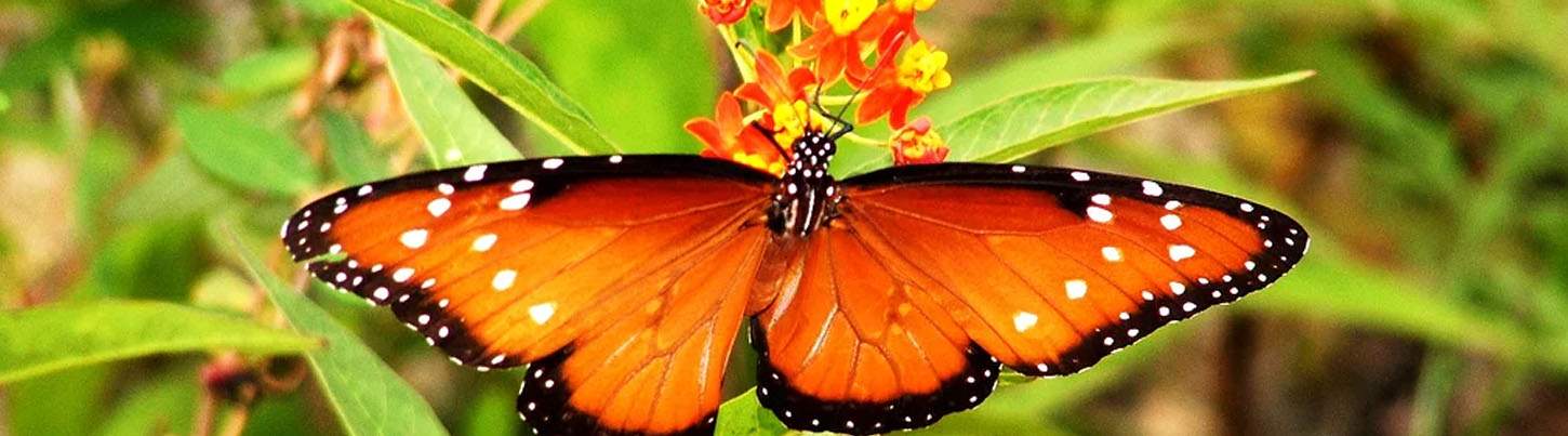 Sian Ka'an Muyil Experience 8