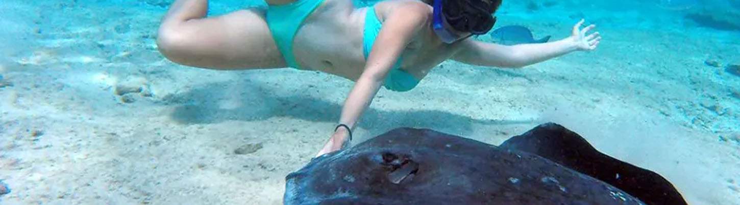 Snorkel With Sting Rays in Cozumel 7