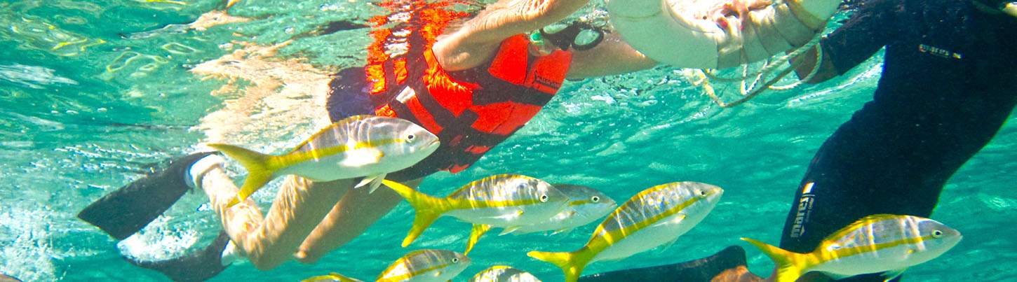 Original Snorkeling Adventure & Puerto Morelos Beach Break 7