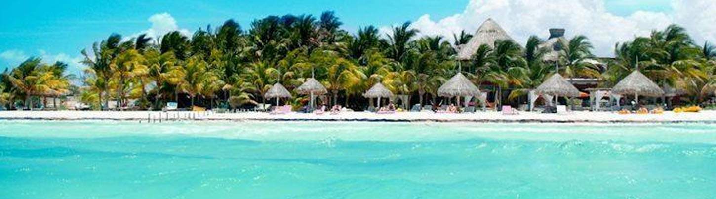 Swim With Whale Sharks Adventure 4