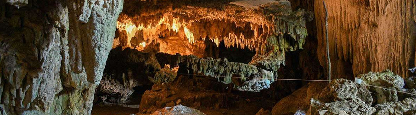 Tulum Ruins + Akumal Sea Turtles + Cenote Cave Exploration 6