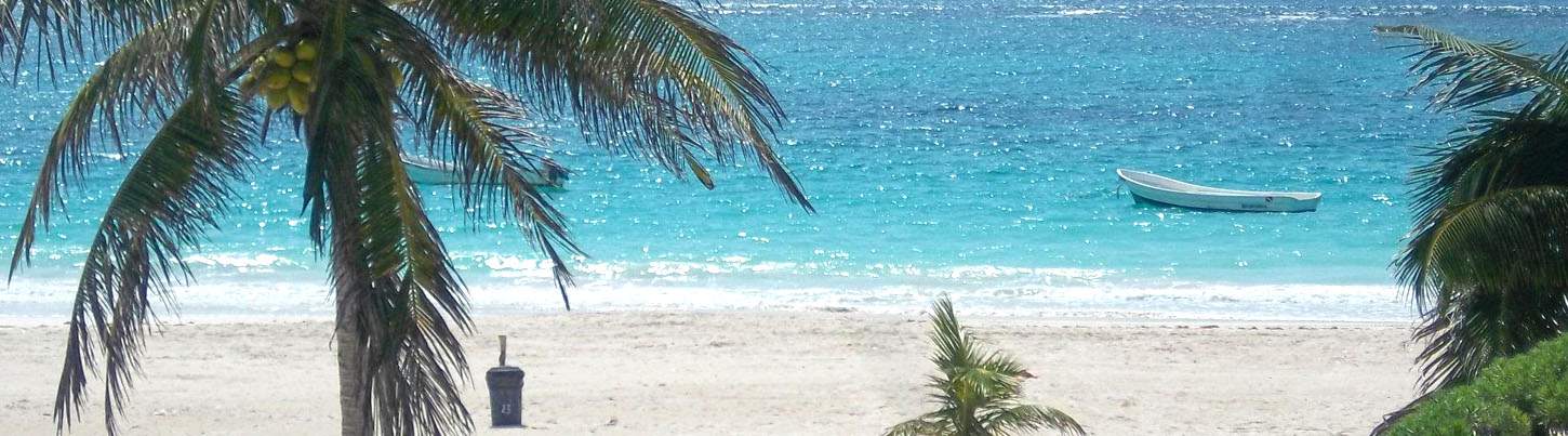 Tulum Mayan Ruins + Paradise Beach Excursion 7