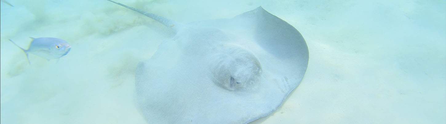 Xel Ha All Inclusive 6