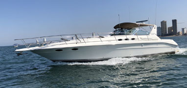 Private Luxury Yacht Charter