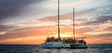 Private Mazatlan Sunset Catamaran Sailing Experience