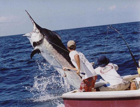 Fishing