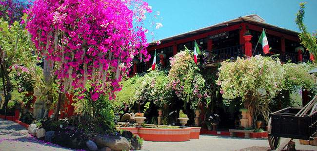 Excursión al Jardín Botánico de Puerto Vallarta